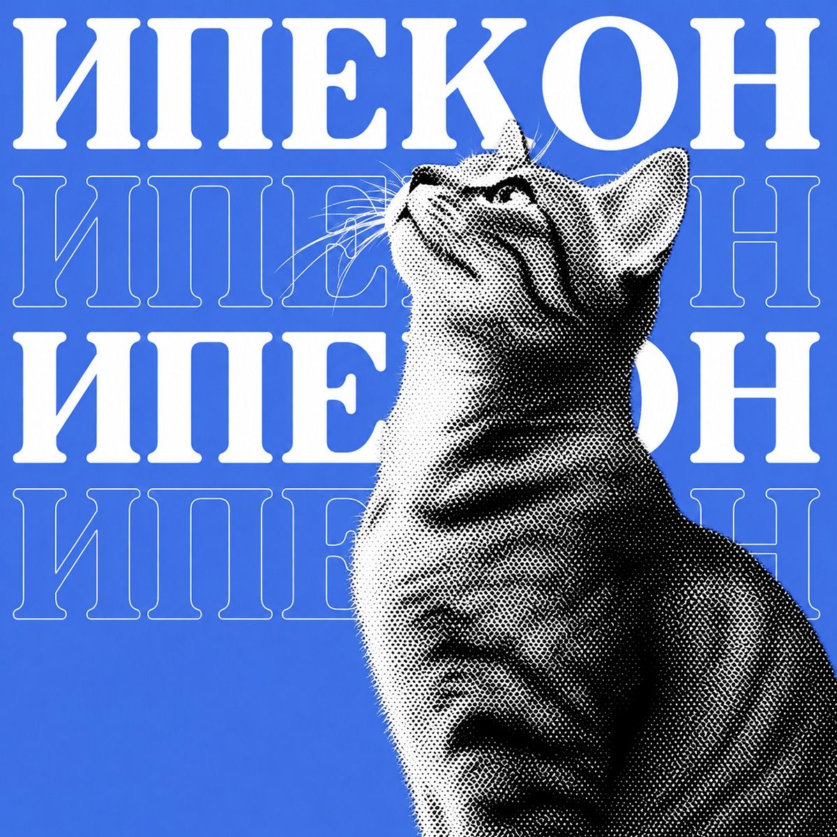 Лечение ИПК у кошек в России: зарегистрированные препараты, стоимость терапии и Ипекон-Т® Плюс